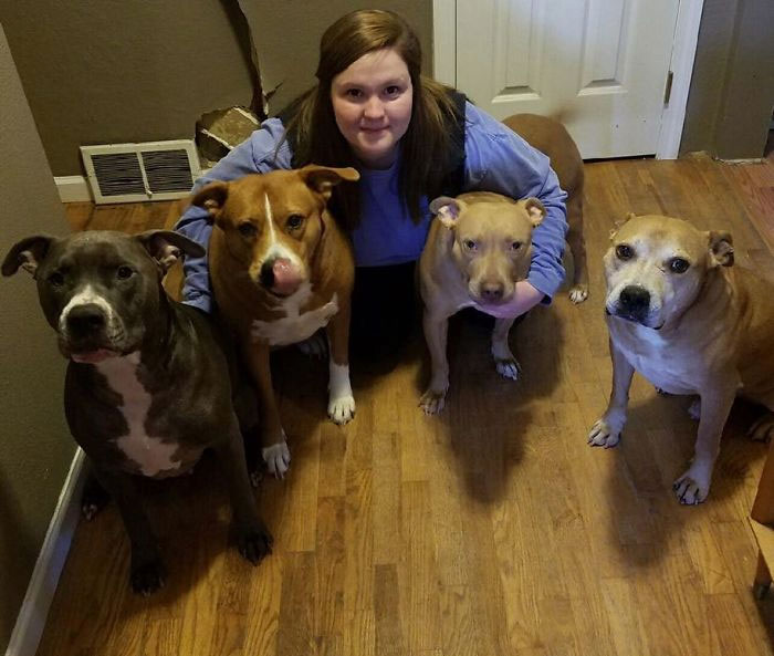 Three Male Pitties In This Picture, What A Dog Fight