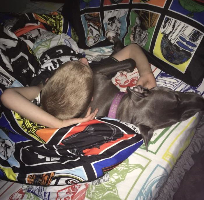 This Is Allie With Her 6 Year Old Bff Lawson. She Goes To Work With Me Every Day And When She's Done With Her 9-5 Terrorizing Cities- She Sleeps With Him To Attack Any Bogeymen That May Show Up In The Dark