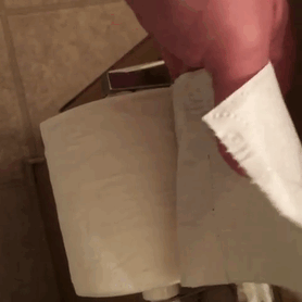 Dad humor taken to another level with a surprise under the toilet paper roll.