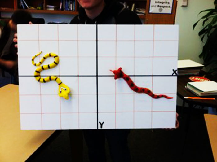 Graph board displaying snakes, illustrating dad jokes creatively with playful humor.