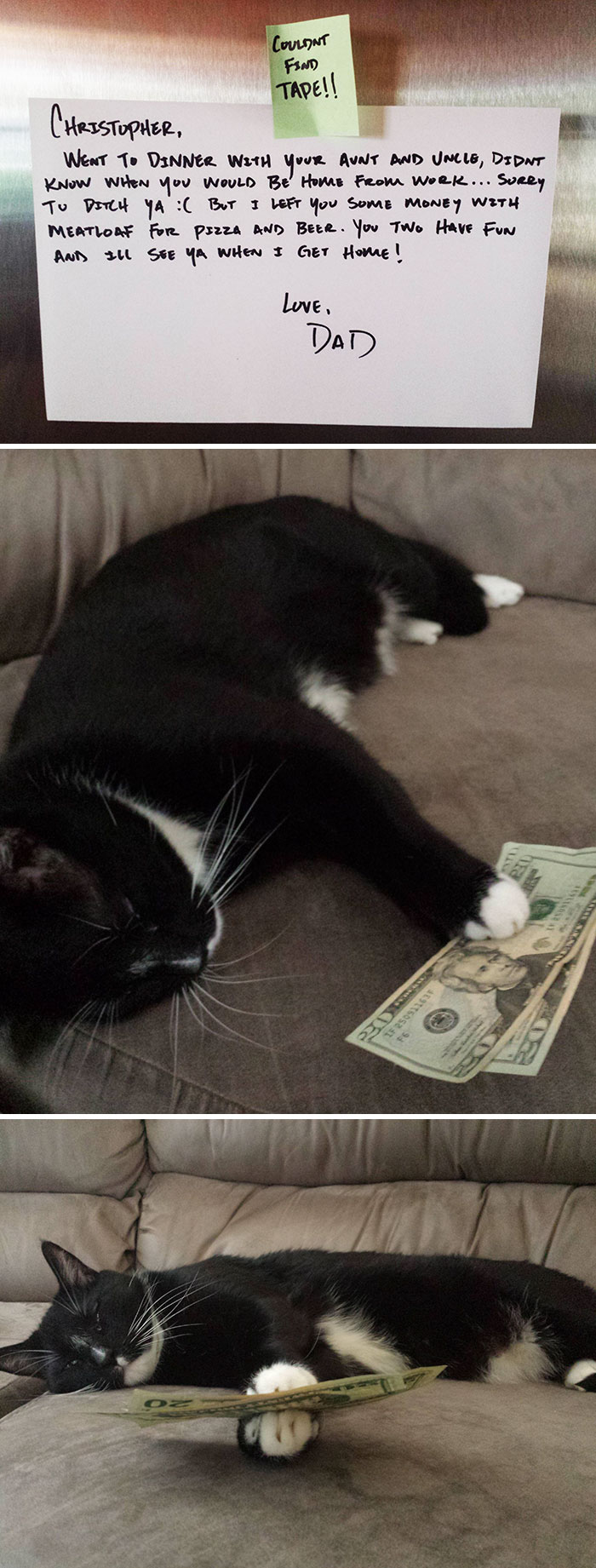 Dad's joke: Note on fridge with money, a cat holding cash on a couch.