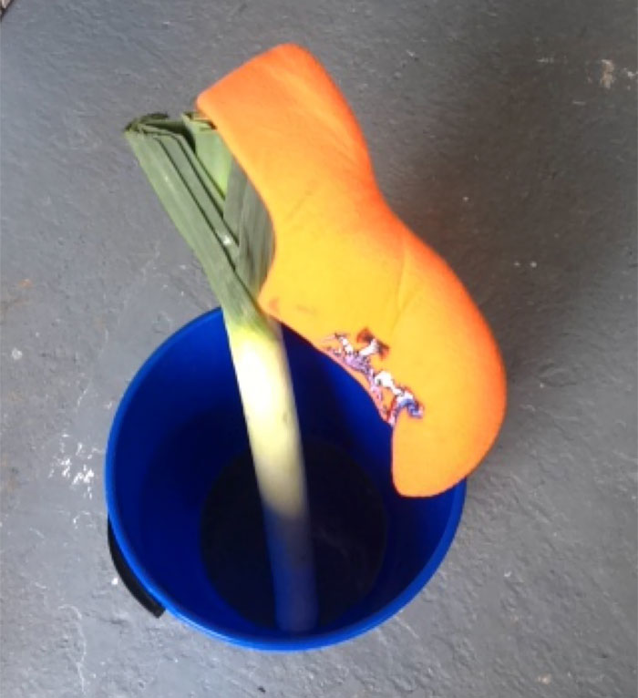 A leek in a blue bucket covered with an orange cap humorously embodies a dad joke.