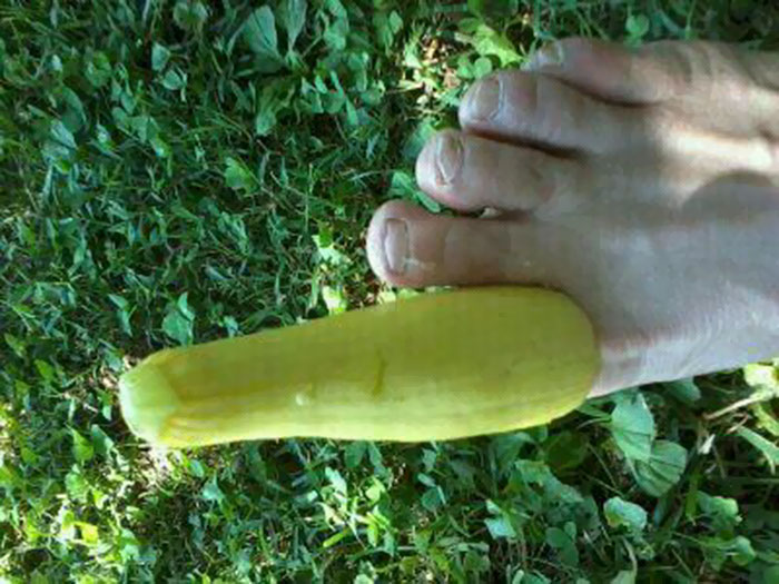 Foot on grass with a banana replacing a missing toe, showcasing dad jokes to another level.