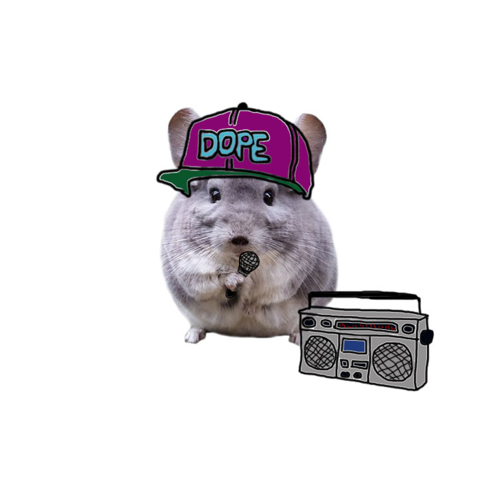 Hip-hopper Chinchilla
