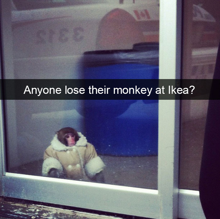 Anyone Lose Their Monkey At Ikea?