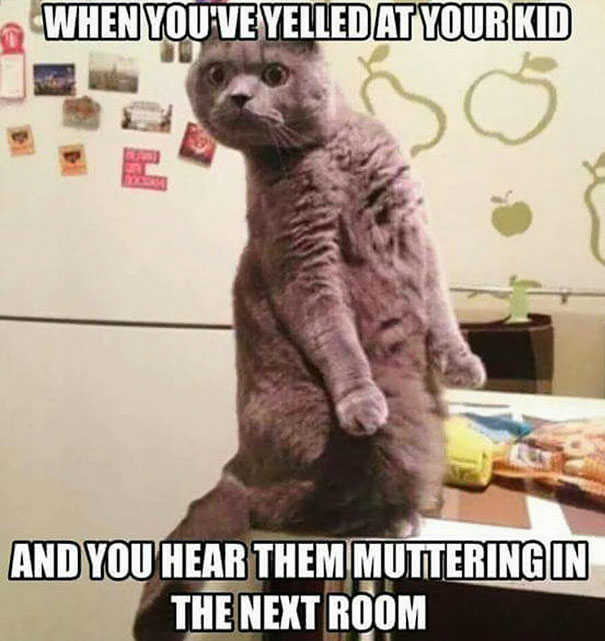Cat meme illustrating a parenting moment with a surprised expression, emphasizing humor in parenting situations.