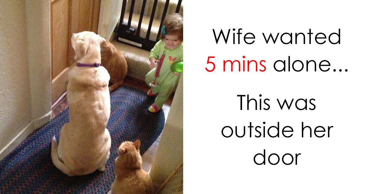 50 Parenting Memes To Read While Your Child Is Asleep