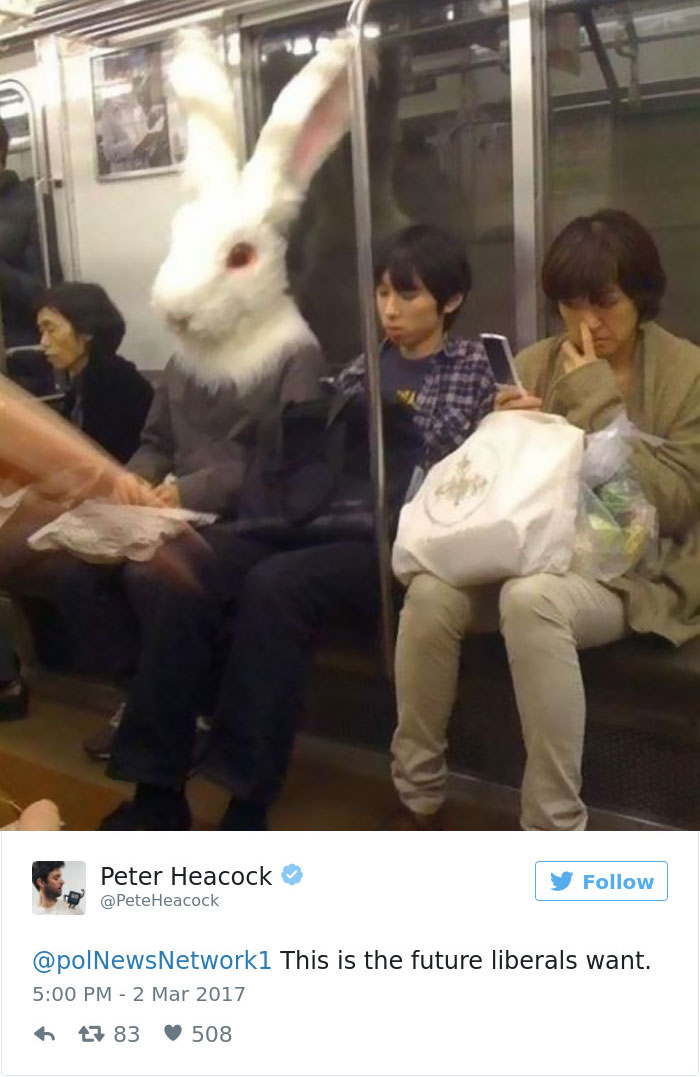 Future-that-liberals-want-twitter-meme