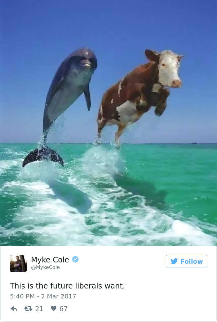 Future-that-liberals-want-twitter-meme
