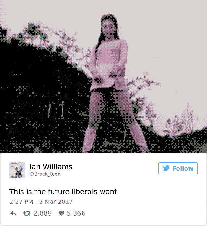Liberal Future Meme