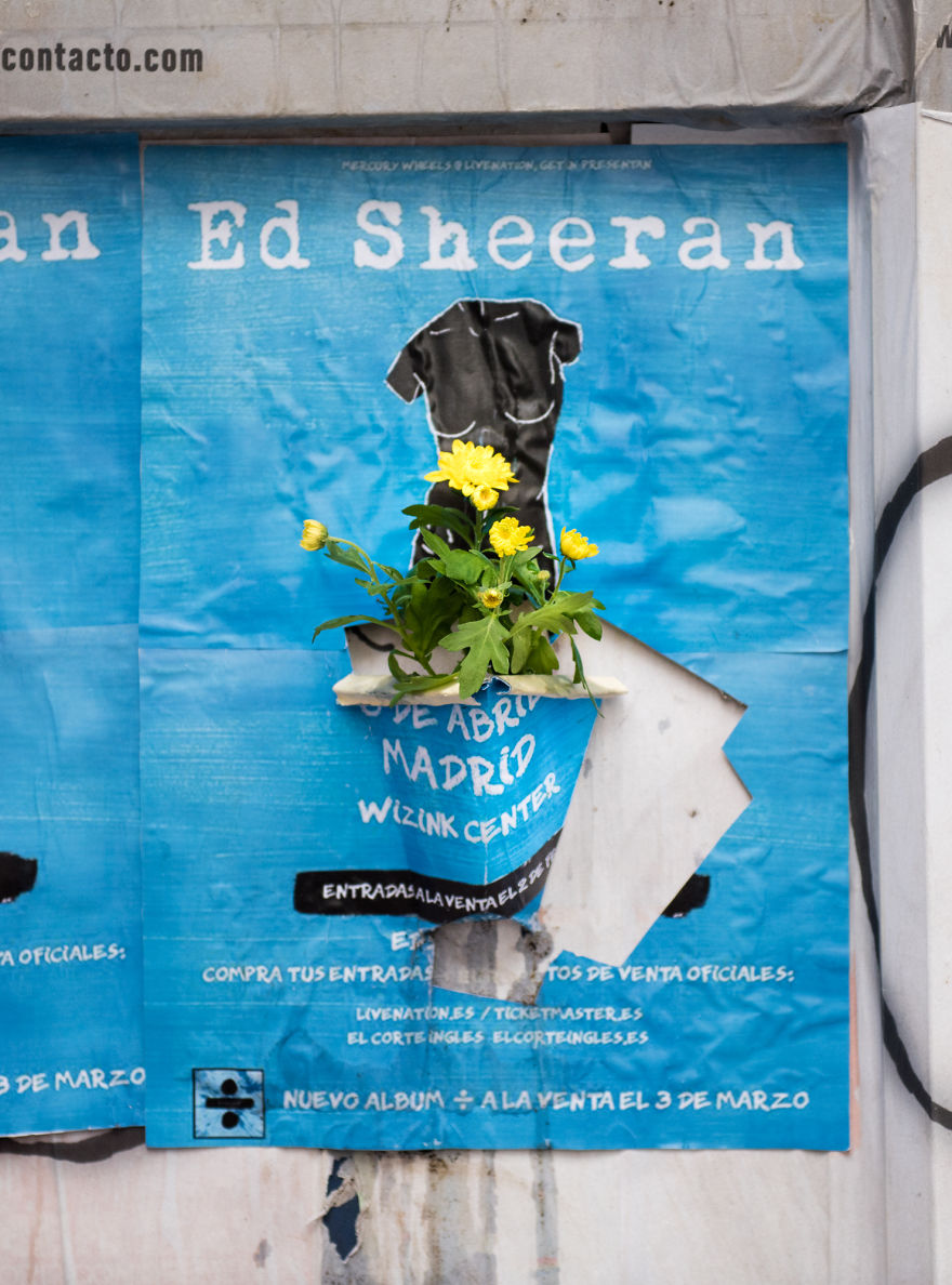 Now We Can Plant Flowers On The Street Posters