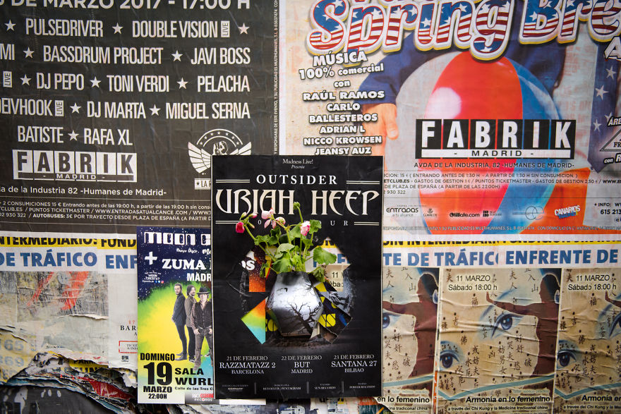 Now We Can Plant Flowers On The Street Posters