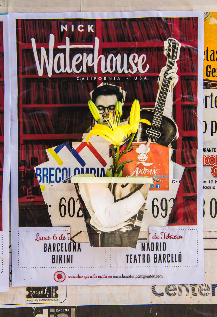 Now We Can Plant Flowers On The Street Posters