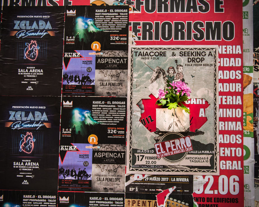 Now We Can Plant Flowers On The Street Posters