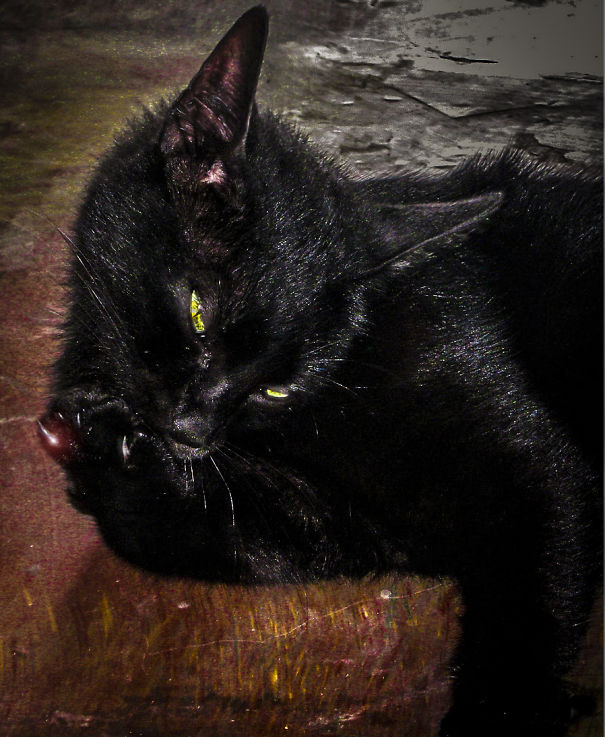 Adjusting The Claw To Kill