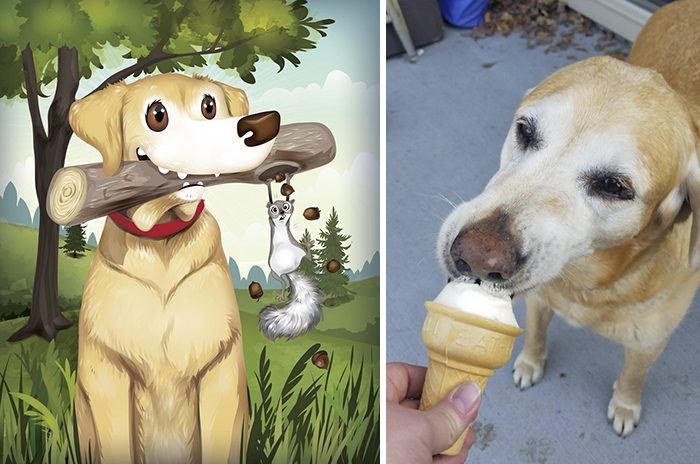 Molly Leaves Sticks In Neighbours' Yards, Because Sharing