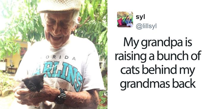 Grandpa Secretly Raises Stray Kittens After Wife Told He Couldn’t Keep Them