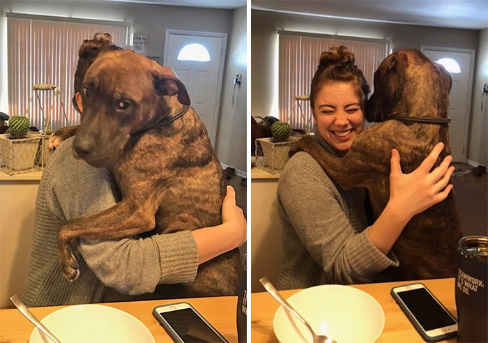 Este perro rescatado hace 1 año abraza cada día a su dueña cuando vuelve a casa