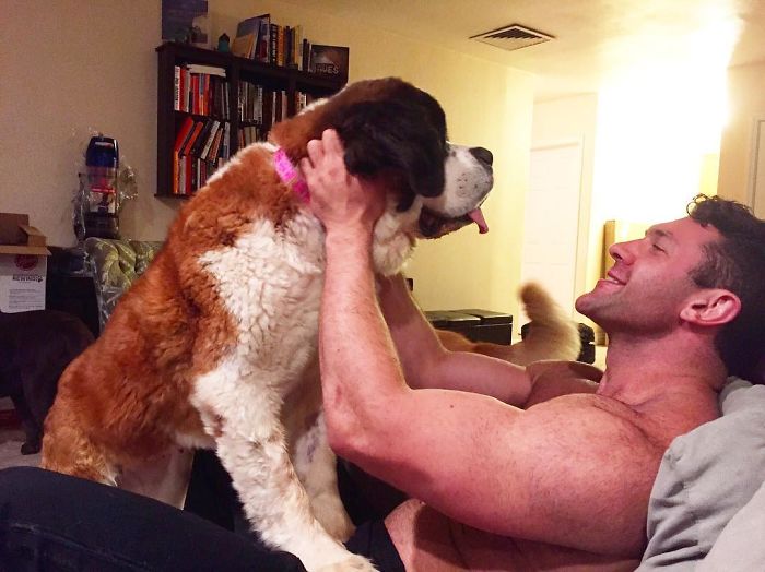 This Man Won't Stop Adopting Rescue Animals, And Here's How He Lives This Man Won't Stop Adopting Rescue Animals, And Here's How He Lives
