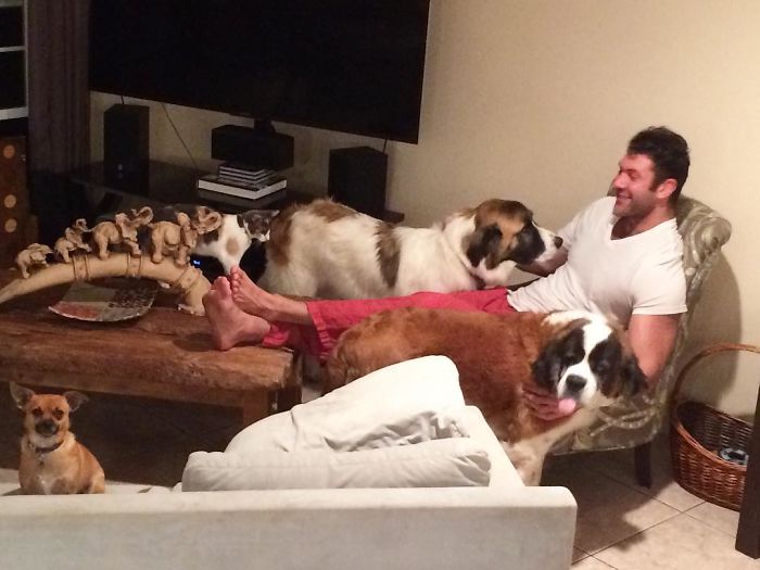 This Man Won't Stop Adopting Rescue Animals, And Here's How He Lives This Man Won't Stop Adopting Rescue Animals, And Here's How He Lives