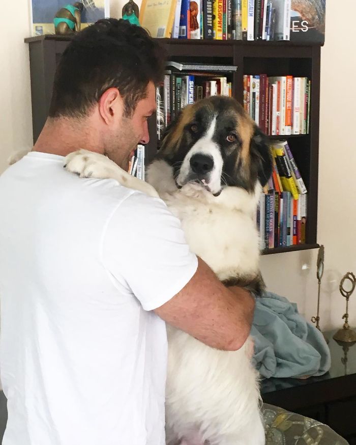 This Man Won't Stop Adopting Rescue Animals, And Here's How He Lives This Man Won't Stop Adopting Rescue Animals, And Here's How He Lives