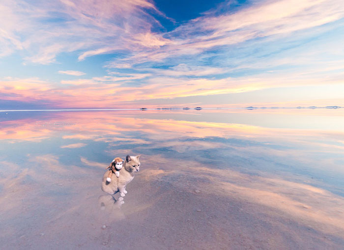 Visiting The Salt Flat In Bolivia