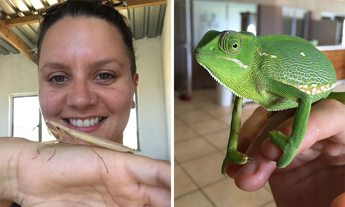 I Like To Take Photos Of Animals I Meet Using My iPhone