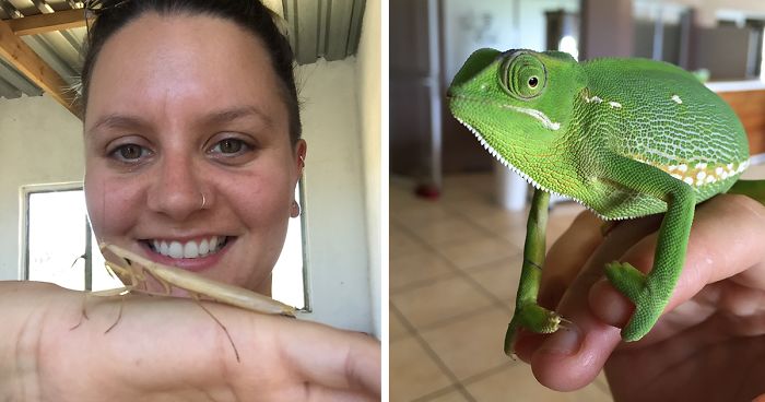 I Like To Take Photos Of Animals I Meet Using My iPhone