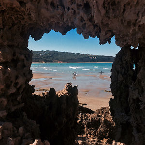 9justinmorgan avatar