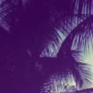 lilihorses123 avatar