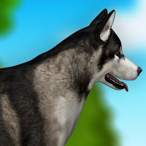 presleypfeiffer avatar