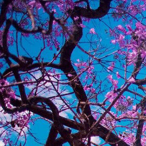 kamillaszekely avatar