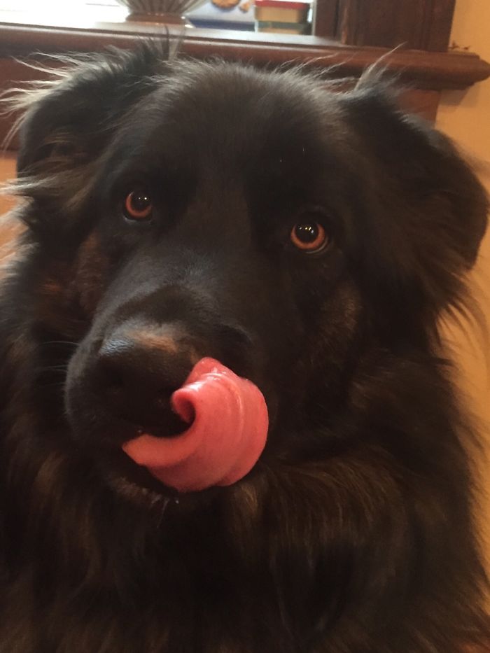 Yum Yum, Gonna Share That?