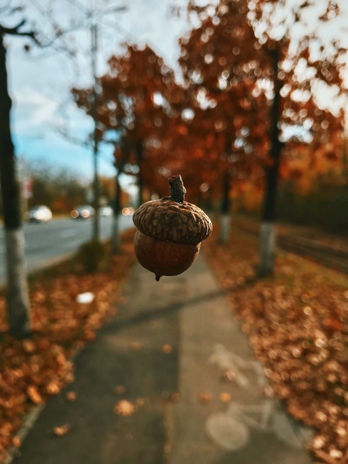 20 Pictures You Wouldn't Believe Are Taken With A Smartphone 20 Pictures You Wouldn't Believe Are Taken With A Smartphone