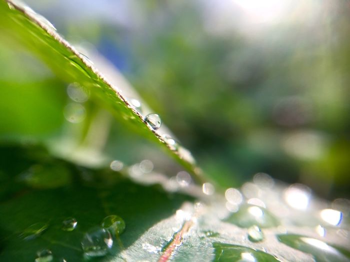 20 Pictures You Wouldn't Believe Are Taken With A Smartphone