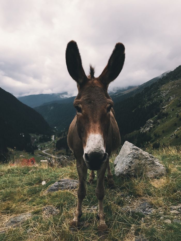 20 Pictures You Wouldn't Believe Are Taken With A Smartphone