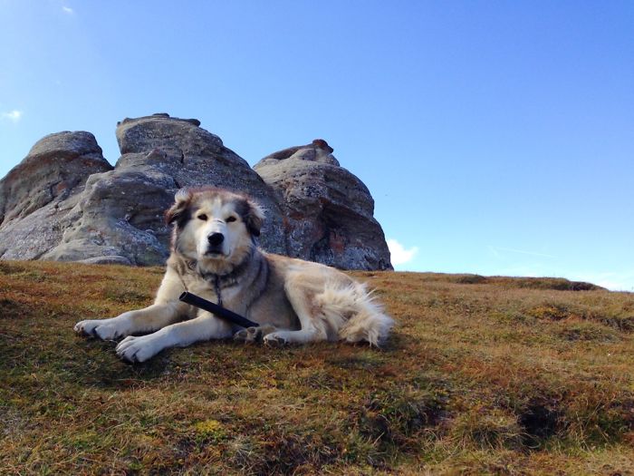 20 Pictures You Wouldn't Believe Are Taken With A Smartphone