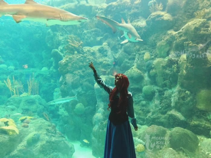 Disney Obsessed Girl Spent Over $3,000 Usd To Transform Herself Into The Little Mermaid