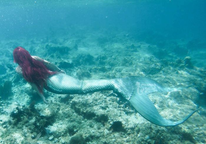 Disney Obsessed Girl Spent Over $3,000 Usd To Transform Herself Into The Little Mermaid