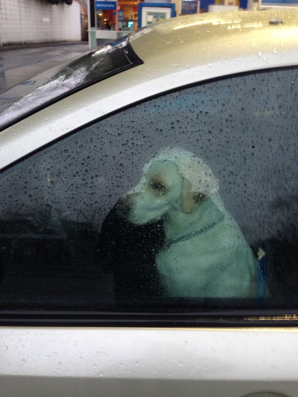 When She Recognized, Nobody's Driving The Car !