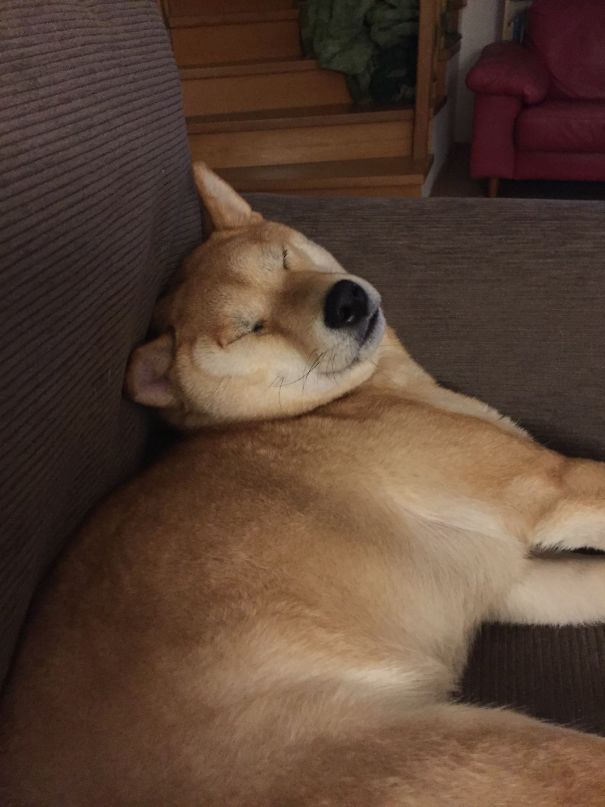 First Time On The New Couch