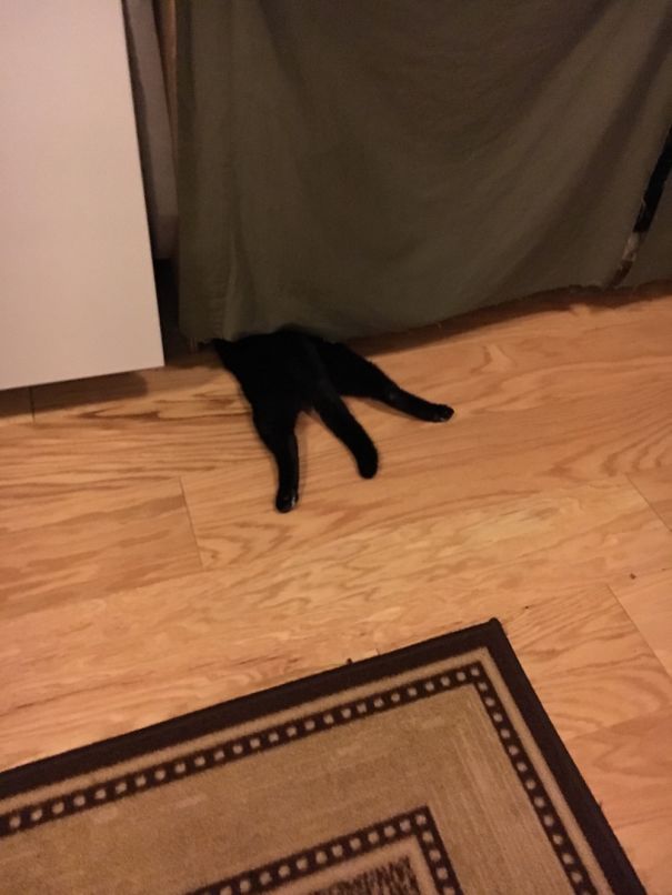 He Melted On My Floor And Half Of His Body Disappeared!!!!!