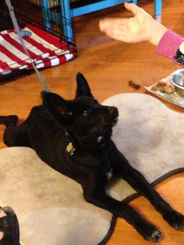 Rise, My Lord! Condense!