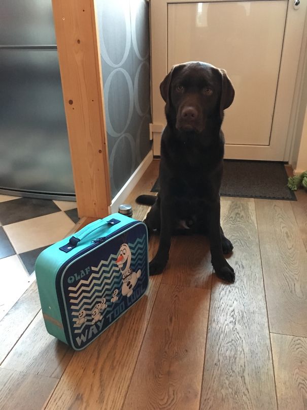 Olaf's First Sleep Over. Waiting For "granddad" To Pick Him Up.