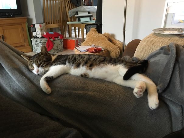 Just Seconds After This Was Taken,he'd Completely Melted