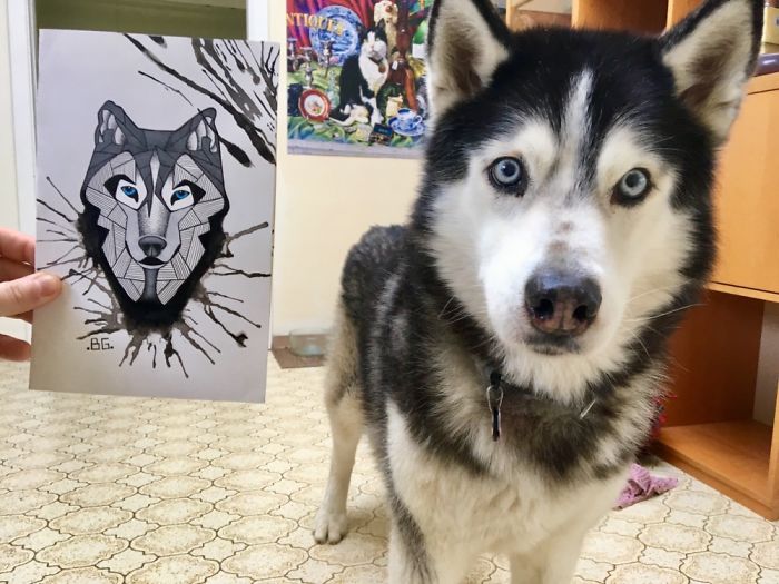 My Girlfriend Drew Our Husky Luna