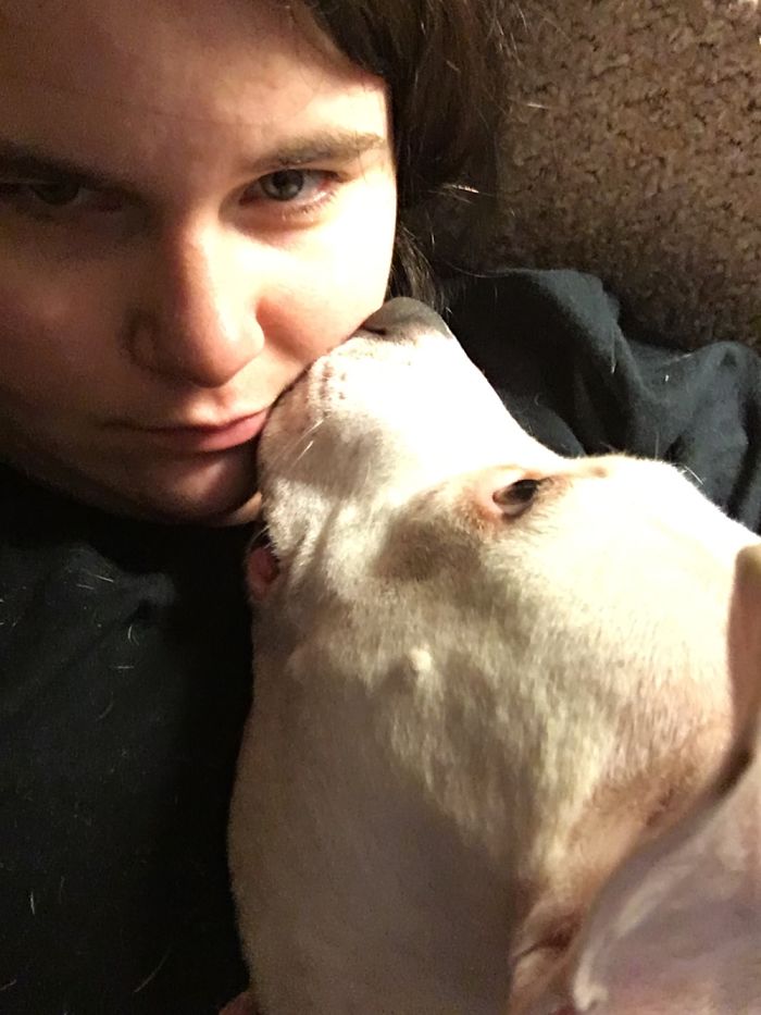 Yet Another Pibble Attack.