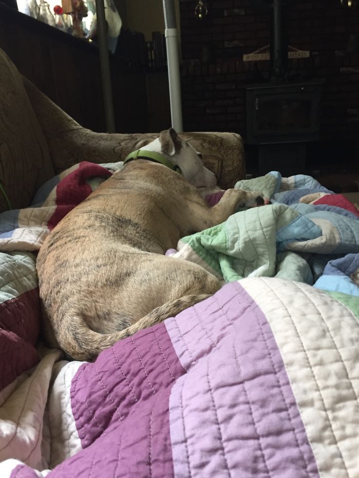 Scariest Thing I've Ever Woken Up To.