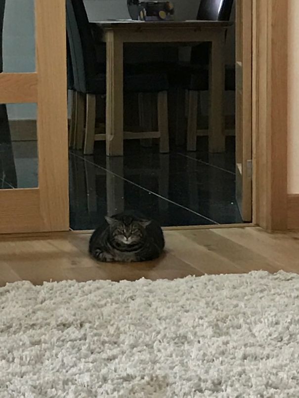 I Will Kill You In Your Sleep Later.. 😳😳