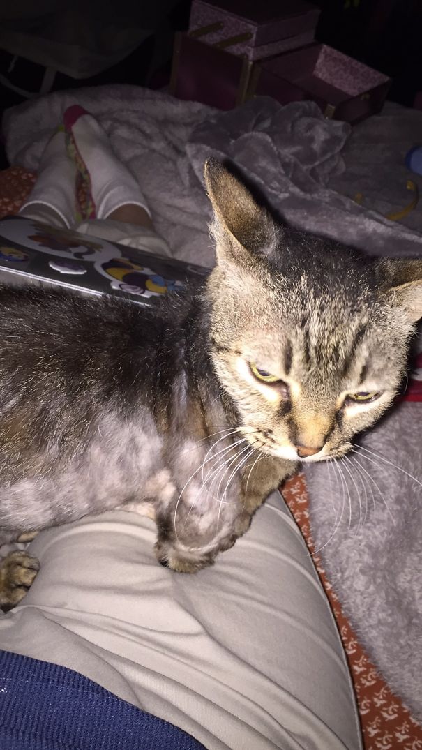 Every Day Is The Same With This Munchkin. Pretty Sure She Just Wants My Soul.